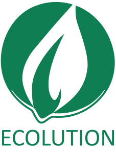 Ecolution Logo_square_green